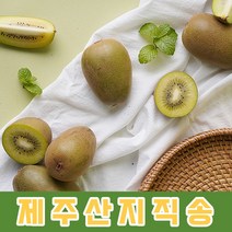 국내산 제주 산지 직송 스위트 골드 망고 키위 최상급 2.5kg 5kg [노블프레쉬], 골드 망고키위 특대과 5kg(40개 내외)