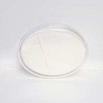 [MIRAE] NBR 라텍스 퍼프 메이크업 퍼프 원형, 10개