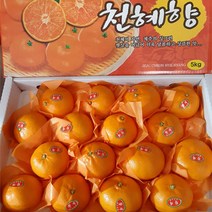 달콤달콤 천혜향, 천혜향 (7-11과)
