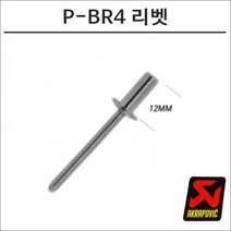 아크라포빅 머플러용 머플러부속 고정 리벳 실버 P-BR4