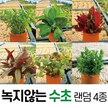 [파라곤아쿠아] 파라곤 아쿠아 수조장식품 인조나무(대) T-903