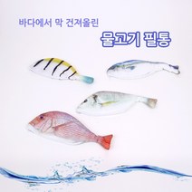 생생한 물고기 모양 천 필통 4가지 종류, 3_조기