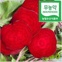 친환경 무농약 햇 레드비트 제주비트, (크기혼합)3kg, 1개