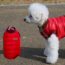 [컴패니언펫] 컴패니언 6온스 다운패딩 레드 S, 본상품선택