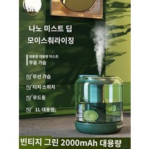 가습기 꽃잎 과일 대용량 레몬 램프, BF143