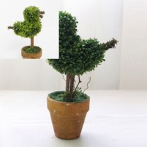 조화 화분 개업화분주문 집들이화분 화분식물