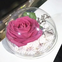 수납 박스상자 케이크 컵케익 돔 홀더 머핀 디저트 컨테이너 월병 캐리어 무스 포장 투명 베이커리 용기, 02 500ml Style