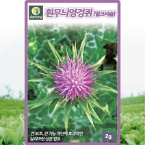 흰무늬엉겅퀴 씨앗 엉겅퀴 씨 밀크씨슬 종자 2g, 상세 설명 참조