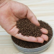 비료 거름 농사 500g 인산이암모늄인산암모늄 이염기성DAP 복합 저렴한 가격 식물 원예