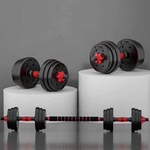 홈트 종결판 프리웨이트 덤벨 바벨 아령 25kg, 25kg프리웨이트 덤벨
