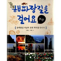 해파랑길을 걸어요 : 부산 : 동백꽃길 거닐며 천재 학자를 만나다