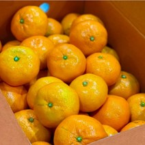 제주도 하우스귤 3kg(소중과) 당도선별 노지 타이백 감귤