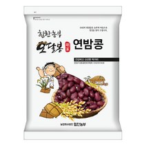 특품 수입 밤콩 연밤콩 울타리콩 양대, 1개, 2kg