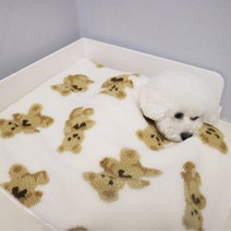 강아지 담요 이불 겨울 방석 극세사 양털 블랭킷 곰돌이 테디베어, 아이보리