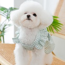 그리드 Bowknot 작은 개를위한 여름 개 옷 달콤한 애완 동물 강아지 드레스 Got 소녀 고양이 조끼 코튼 T, 01 green_01 XS