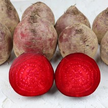 제천 제주 생비트 레드비트 고당도비트 비트 3kg 5kg, 고당도 비트 5kg