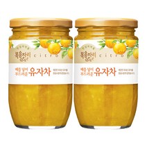 복음자리 유자차 480g X 2