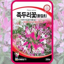 족두리꽃 200립 / 꽃씨 화단 꽃밭 정원 족두리꽃씨앗 야생화씨앗 풍접초씨앗