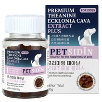 펫시딘 강아지 테아닌 감태추출물, 1개