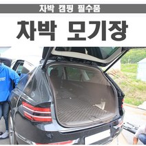 끼우면 설치끝! 차량용 트렁크 창문 차박 메쉬 커튼 모기창 방충망 트렁크방충망, 1개