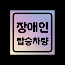 자동차 탈부착자석스티커 LMCM-91 장애인 탑승차량, 민트