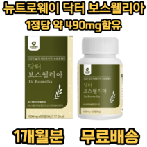 뉴트로웨이 닥터 보스웰리아 1000 식 약 처 인증 인도산 결정 셀룰로오스 우슬추출 분말 초록입홍합 분말 히알루론산 혼합분말 엽산 산화아연 비타민 부모님 가족 노인 필수 섭취 추천, 60정, 1개