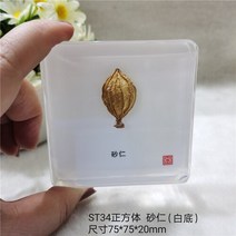조각품 진짜 식물 곤충 견본 거북이 머리 거미 잠자리 불가사리 수지 홈 테이블, 16 16