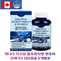 [오메가3 명가] 캐나다 직수입 불포화지방산 엔쵸비 오메가3 고함량 EPA DHA 비타민D 6개월 12개월, 2병, 180캡슐 6개월
