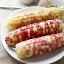 홍찰 냉동 삶은 찰옥수수 40개 (10∼12cm 내외), 홍찰 냉동 찰옥수수 40개 (10∼12cm)