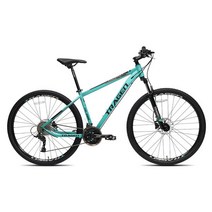 트라젠 TM3900 29인치 24단 유압식디스크 MTB 자전거, 그레이/15.5인치, 완조립