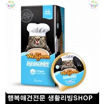 아기고양이먹이 펫용품 고양이몰 고양이키울때필요한것 고양이필수품
