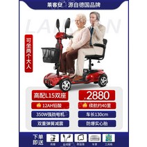 노인전동차 전동카 어르신 소형전기차, 24V, 2인승12Ah 납산 40마일300W