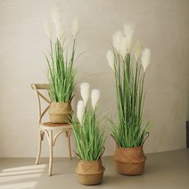 플라우스302 핑크뮬리 팜파스 조화 갈대 화분 조화 3colors, 155cm, 크림, 1개