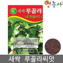 새싹 루꼴라 씨앗 15g