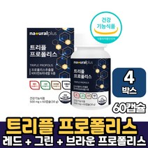 식약처 인증 프리미엄 레드 그린 브라운 푸로폴리스 트리플 프로폴리스 식물성 캡슐 츄어블 추어블 타입 영양제, 4박스, 트리플프로폴리스 x 60캡슐