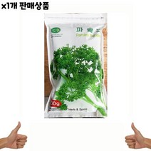 식자재 도매 파슬리후레이크 신영 200g 1개, 식자재 도매) 파슬리(후레이크