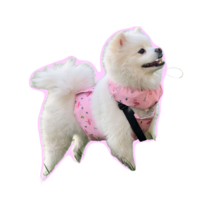 크킁 강아지 아이스팩 쿨조끼 아이스조끼 쿨스카프 쿨나시 중형견 대형견, 핑크세트