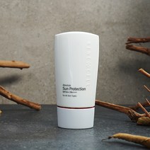 (최신정품)르네셀 앱솔루트 썬 프로텍션 SPF 50+/PA++++ 50g (서비스 증정), 2개