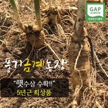 풍기금계인삼 풍기인삼 수삼 난발삼 5년근 햇수삼(인삼) 1채(750g), 1box, 난발햇수삼 6-8뿌리(세척안함)