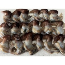 최고급 청정해안 여수 새조개 500g 샤브샤브