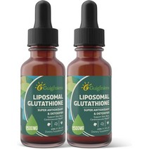 Guigmiens 리포조말 글루타치온 1500mg 액상 60ml x 2병, 2 Fl Oz 2팩