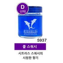 선물드림 아쿠아블루 AQUABLUE(4종 향선택) 일본직수입 오일겔타입 115ml 대용량(상온 90g) 일본차량용방향제 실내용방향제 일본방향제 환경부 초록누리 안전기준 적합상품, 1병, 선택-D 5937 (쿨 스쿼시)