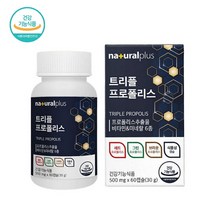 호주 프로폴리스 플라보노이드 비타민 미네랄 항산화 영양제 500mg x 60캡슐, 1병