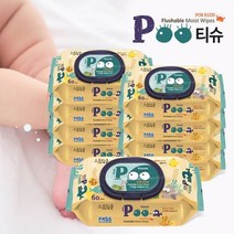(NS홈쇼핑) 원터치캡 푸(POO)티슈 60매20팩 비데물티슈 28602804 -, 1.원터치캡형 60매X20팩
