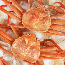 미각기행 자숙 연지홍게 실속형 1kg 2~4미 (B급), 1개