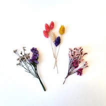 포장용 프리저브드/드라이 프리저브드 플라워 청첩장 답례품 선물 포장, 팔라리스(퍼플)_10ea