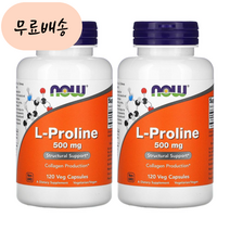 나우푸드 프롤린 500m.g 120배지개 2통 L Proline, 2개, 120개