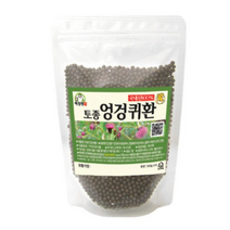 백장생 토종 엉겅퀴환, 300g, 3개