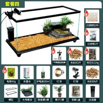 거북이어항 크라운로치 안시숏핀 윈스팜 안시롱핀 구피 카디널테트라 라미네이지 오란다금붕어 베타물고기 엔젤피쉬 진주린 무환수 어항 물멍 수족관 거북이 전용 가정용 거북이 용, 4개 80세트(20세트)