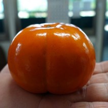 감나무 묘목2년생(접목1년) 경산대경농원 대봉/태추/둥시/차량단감 [각종 묘목/조경수/약용식물 다량보유], 태추, 상묘